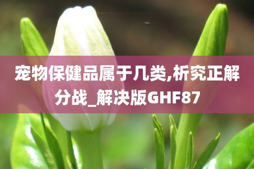 宠物保健品属于几类,析究正解分战_解决版GHF87