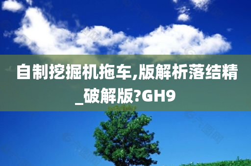 自制挖掘机拖车,版解析落结精_破解版?GH9