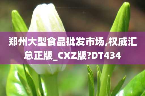 郑州大型食品批发市场,权威汇总正版_CXZ版?DT434