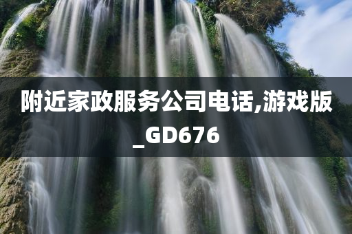 附近家政服务公司电话,游戏版_GD676