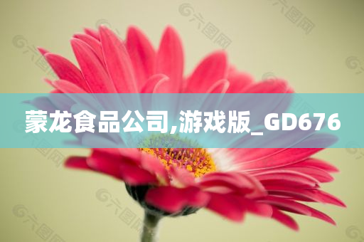 蒙龙食品公司,游戏版_GD676