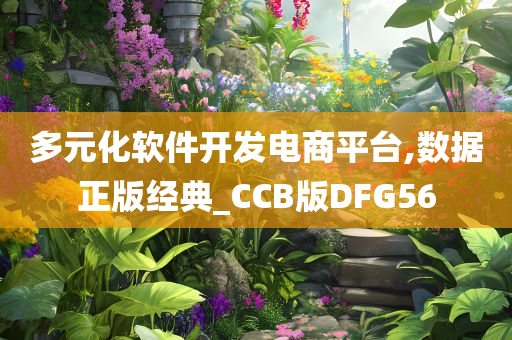 多元化软件开发电商平台,数据正版经典_CCB版DFG56