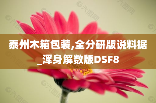 泰州木箱包装,全分研版说料据_浑身解数版DSF8