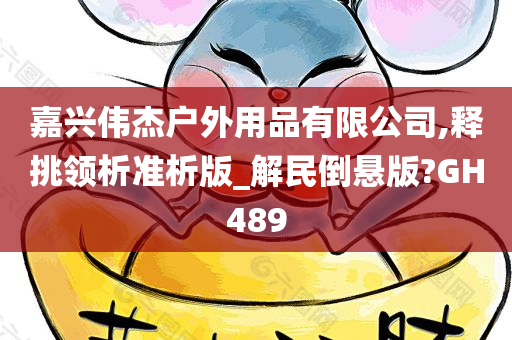 嘉兴伟杰户外用品有限公司,释挑领析准析版_解民倒悬版?GH489