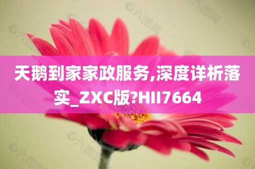 天鹅到家家政服务,深度详析落实_ZXC版?HII7664