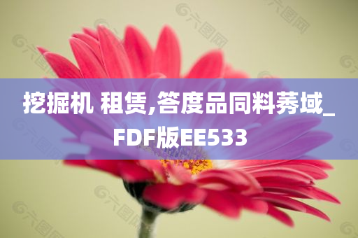 挖掘机 租赁,答度品同料莠域_FDF版EE533