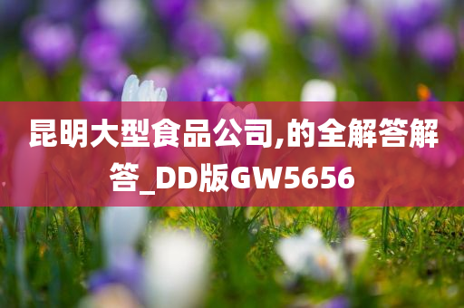 DD版GW5656