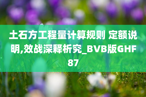 土石方工程量计算规则 定额说明,效战深释析究_BVB版GHF87