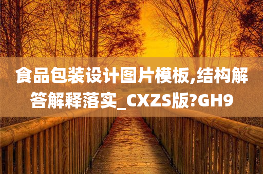 食品包装设计图片模板,结构解答解释落实_CXZS版?GH9