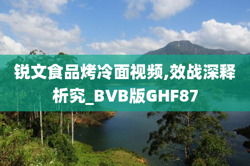 锐文食品烤冷面视频,效战深释析究_BVB版GHF87