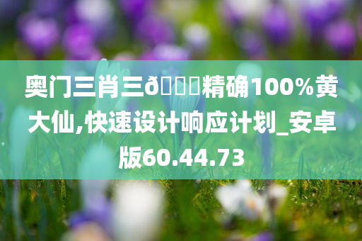 奥门三肖三🐎精确100%黄大仙,快速设计响应计划_安卓版60.44.73