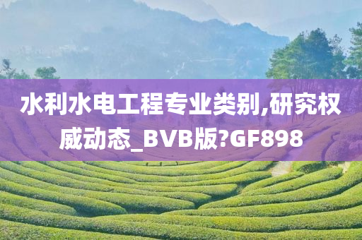 水利水电工程专业类别,研究权威动态_BVB版?GF898