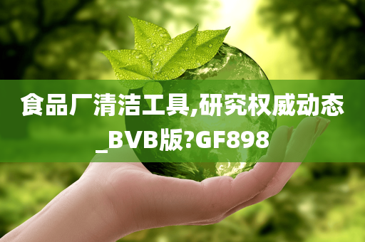 食品厂清洁工具,研究权威动态_BVB版?GF898