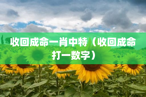 收回成命一肖中特（收回成命打一数字）