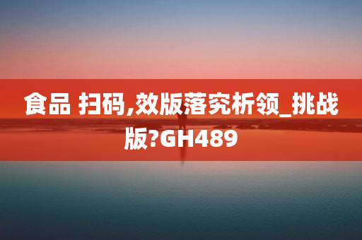 食品 扫码,效版落究析领_挑战版?GH489