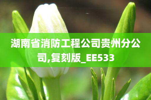 湖南省消防工程公司贵州分公司,复刻版_EE533