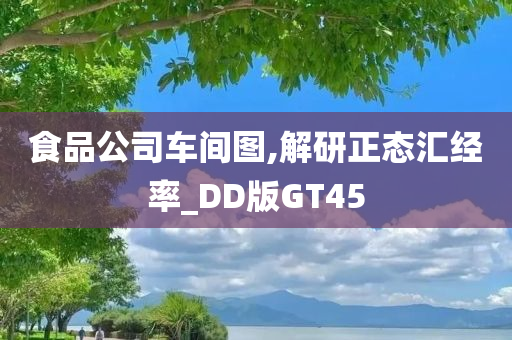 食品公司车间图,解研正态汇经率_DD版GT45