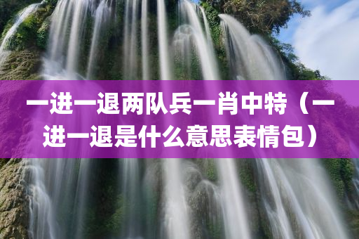 一进一退两队兵一肖中特（一进一退是什么意思表情包）