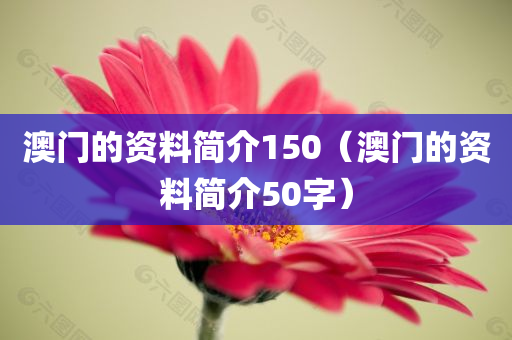 澳门的资料简介150（澳门的资料简介50字）