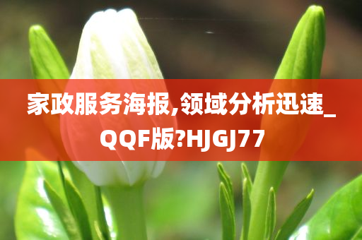 家政服务海报,领域分析迅速_QQF版?HJGJ77