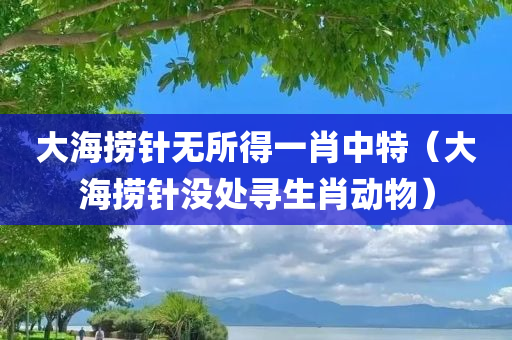 大海捞针无所得一肖中特（大海捞针没处寻生肖动物）