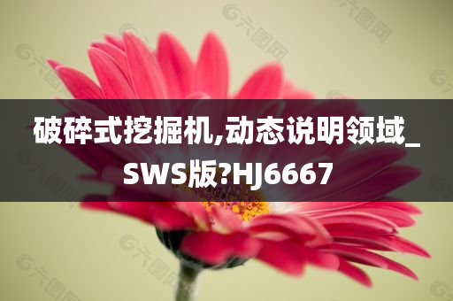 破碎式挖掘机,动态说明领域_SWS版?HJ6667