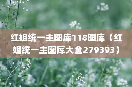 红姐统一主图库118图库（红姐统一主图库大全279393）