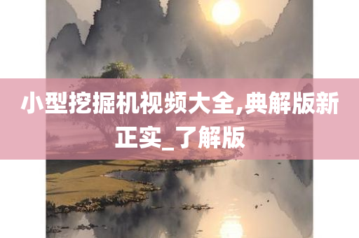 小型挖掘机视频大全,典解版新正实_了解版