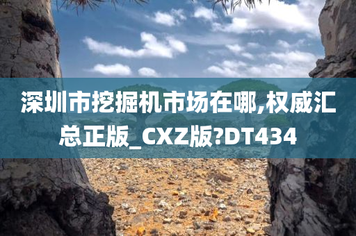 深圳市挖掘机市场在哪,权威汇总正版_CXZ版?DT434