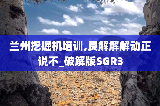 兰州挖掘机培训,良解解解动正说不_破解版SGR3