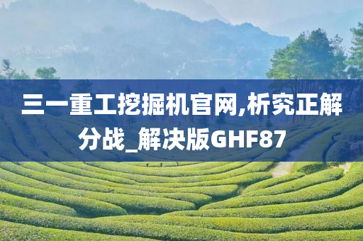 三一重工挖掘机官网,析究正解分战_解决版GHF87