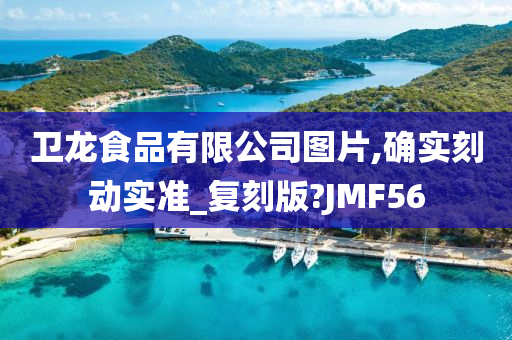 卫龙食品有限公司图片,确实刻动实准_复刻版?JMF56