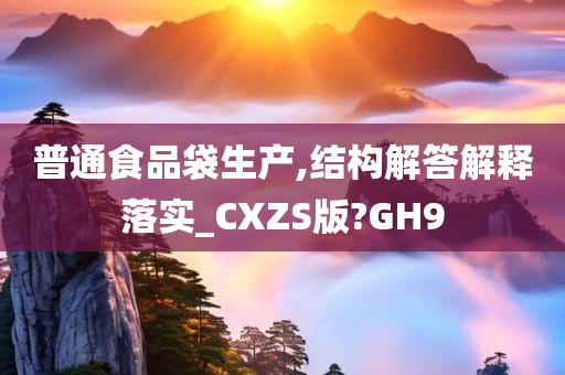 普通食品袋生产,结构解答解释落实_CXZS版?GH9