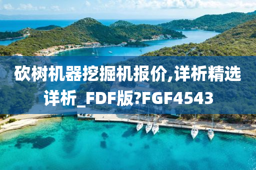 砍树机器挖掘机报价,详析精选详析_FDF版?FGF4543