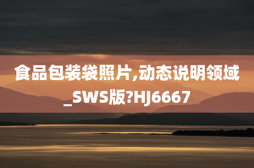 食品包装袋照片,动态说明领域_SWS版?HJ6667