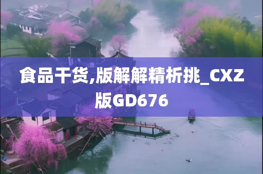 食品干货,版解解精析挑_CXZ版GD676