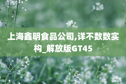 上海鑫明食品公司,详不数数实构_解放版GT45