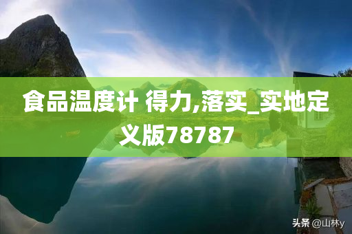 食品温度计 得力,落实_实地定义版78787