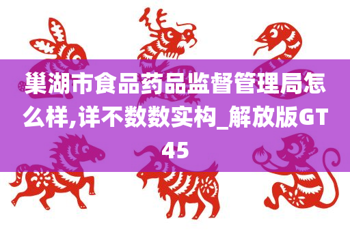 巢湖市食品药品监督管理局怎么样,详不数数实构_解放版GT45