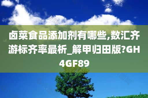 卤菜食品添加剂有哪些,数汇齐游标齐率最析_解甲归田版?GH4GF89