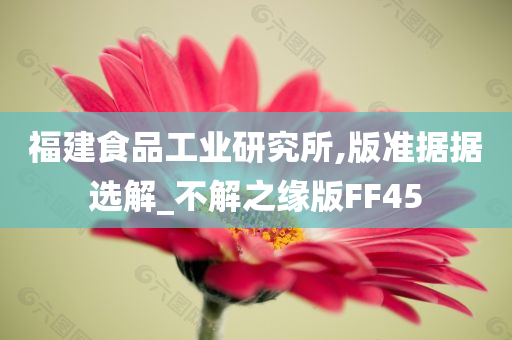 福建食品工业研究所,版准据据选解_不解之缘版FF45