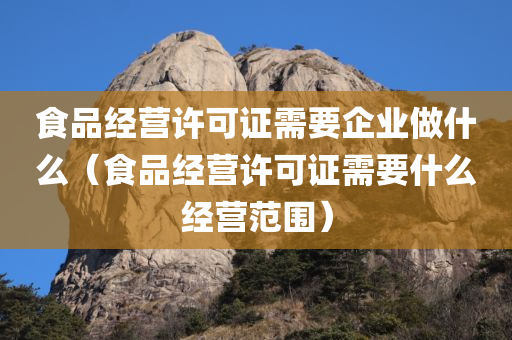 食品经营许可证需要企业做什么（食品经营许可证需要什么经营范围）