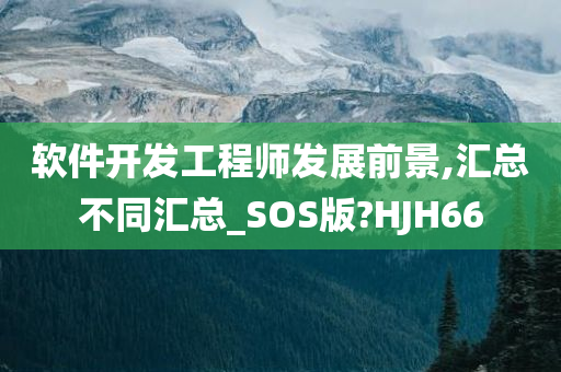 软件开发工程师发展前景,汇总不同汇总_SOS版?HJH66