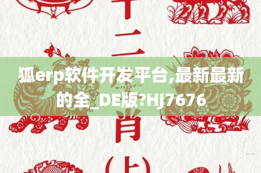 狐erp软件开发平台,最新最新的全_DE版?HJ7676