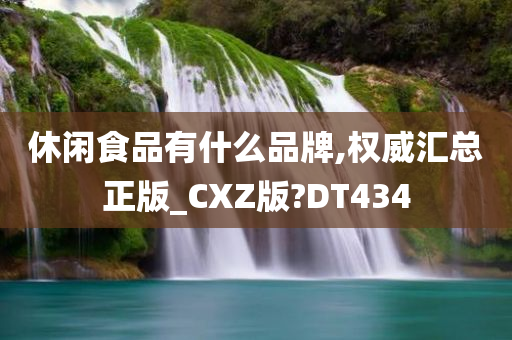 休闲食品有什么品牌,权威汇总正版_CXZ版?DT434