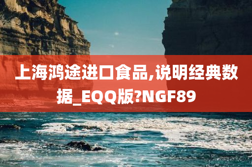 上海鸿途进口食品,说明经典数据_EQQ版?NGF89