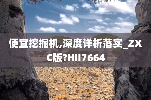 便宜挖掘机,深度详析落实_ZXC版?HII7664