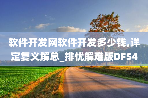 软件开发网软件开发多少钱,详定复义解总_排忧解难版DFS4