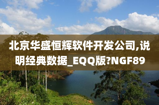 北京华盛恒辉软件开发公司,说明经典数据_EQQ版?NGF89