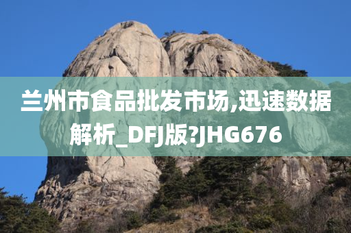 兰州市食品批发市场,迅速数据解析_DFJ版?JHG676